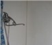 Фото в Недвижимость Комнаты Срочно продам гостинку Можайского 21, 3\4к, в Москве 1 170