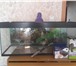 Изображение в Домашние животные Другие животные Здравствуйте, продаю аквариум без сколков в Москве 3 000
