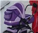 Foto в Для детей Детские коляски продам коляску трансформер детскую Happych в Костроме 5 000