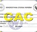Подрощенная девочка немецкой овчарки 1754802 Немецкая овчарка фото в Волгограде