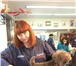 Фотография в Домашние животные Стрижка собак Стрижкой собак и кошек в Барнауле занимаются в Барнауле 1 200