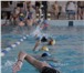 Изображение в Спорт Спортивные школы и секции Обучение плаванию по направлениям: Оздоровительное в Красноярске 250