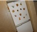 Foto в Электроника и техника Холодильники Продам холодильник МИР, в рабочем состоянии, в Томске 1 500