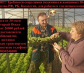 Фото в Работа Вакансии Компания Единый Кадровый Центр приглашает в Старом Осколе 30 000