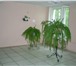 Изображение в Недвижимость Аренда нежилых помещений Сдаются помещения (офисы, склады, производственные в Москве 300