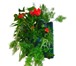 Фото в Домашние животные Растения • Фитокартины Flowall из Европы• Встроенная в Санкт-Петербурге 6 500