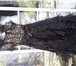 Фото в Одежда и обувь Женская одежда Продается новое, изумительной красоты вечернее в Хабаровске 3 500