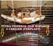 Изображение в Домашние животные Товары для животных Продам трубу-тоннель прозрачную для хорьков в Москве 1 200