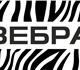 Удивительные цены и короткие сроки выпол