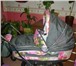 Изображение в Для детей Детские коляски Продам детскую коляску фирмы Marita 2 в 1.Люлька+прогулочный в Раменское 5 000