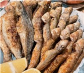 Изображение в Отдых и путешествия Разное Морская рыбалка с приготовлением улова на в Сочи 1 700