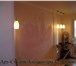 Изображение в Строительство и ремонт Дизайн интерьера роспись стен, фрески ручной работы,декоративное в Кемерово 1 000