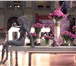 Изображение в Развлечения и досуг Организация праздников Мастерская флористики и декора «Флёр Артдан» в Москве 0