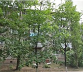 Фотография в Недвижимость Аренда жилья Сдается двухкомнатная квартира в юго-западном в Воронеже 11 000