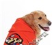 Изображение в Домашние животные Одежда для собак одежда для собак от интернет-магазина ВещьДОГ в Омске 400