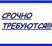 Foto в Работа Вакансии Требование: лиц.охранники и б/лиц.- м., 20-55 в Санкт-Петербурге 26 250