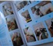 Фото в Хобби и увлечения Книги Книга по грумингу в отличном состоянии. 170 в Комсомольск-на-Амуре 2 000