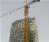 Изображение в Авторынок Кран Продам башенный кран QTZ-250 грузоподъемность в Новосибирске 0