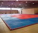 Изображение в Спорт Спортивные школы и секции Клуб каратэ "Сокол" приглашает взрослых и в Москве 2 500