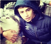 Фотография в Работа Работа для подростков и школьников звонить по номеру 89263336755Свободен в любое в Москве 800