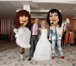 Foto в Развлечения и досуг Организация праздников Шоу ростовых кукол на праздник,свадьбу,юбилей,корпоратив,выпускнойУникальное в Москве 0
