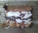 Foto в Прочее,  разное Разное Куплю отходы мебельной пленки ПВХ ( дробленое в Железноводск 0
