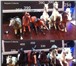 Foto в Хобби и увлечения Коллекционирование Продаю фигурки коллекционных лошадей известные в Крымск 0