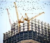 Изображение в Строительство и ремонт Другие строительные услуги Услуга технического заказчика позволяет экономить в Москве 0