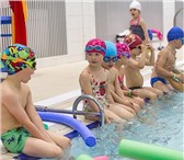 Изображение в Спорт Спортивные школы и секции Хотите научить ребенка плаванию, помочь преодолеть в Москве 0