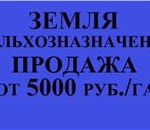 Фотография в Недвижимость Земельные участки Продажа земель сельхозназначения по очень в Астрахани 5 000