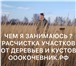 Изображение в Авторынок Спецтехника ОООКОЧЕВНИК.РФ тел.8(925)575-59-29Смотрите в Алушта 0