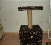 Фотография в Домашние животные Товары для животных продам кошкин дом со столиком на стойке для в Орле 1 500