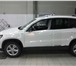 Volkswagen Tiguan,  2013 год 2479543 Volkswagen Tiguan фото в Тюмени