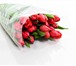 Фотография в Домашние животные Растения внимание! каинские тюльпаны! заказывая цветы в Москве 30
