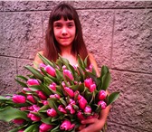 Foto в Домашние животные Растения Тюльпаны к 8 марта , вся палитра цветов, в Сочи 25