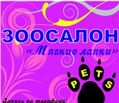 Фото в Домашние животные Услуги для животных Зоосалон Мягкие лапки.Услуги зоосалона:- в Клин 0