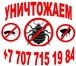 Изображение в Прочее,  разное Разное Уничтожение: Клопов Блох Тараканов и других в Барнауле 0