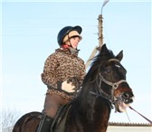 Foto в Отдых и путешествия Другое Приглашаем Вас на конную прогулку по экологически в Калуге 1 500