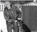 Foto в Домашние животные Услуги для животных &bull;  Консультации , по воспитанию, выращиванию в Ярославле 300