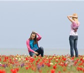 Фото в Отдых и путешествия Туры, путевки Цветение тюльпанов в степи очень красивое, в Армавире 1 990