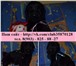Продам чистокровных щеночков ризеншнауцера 2478605 Ризеншнауцер фото в Нижнем Новгороде