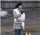 Внимание!Дрессировка и воспитание собак 