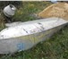 Фото в Авторынок Водный транспорт Продам лодку дюралевую в хорошем состоянии в Орле 35 000