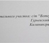 Изображение в Недвижимость Земельные участки Продам земельный участок 9сот. СНТ Ветерок-2, в Калининграде 550 000