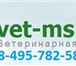 Изображение в Домашние животные Услуги для животных Ритуальные услуги для животных (вызов врача в Москве 1 000