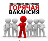 Фото в Работа Вакансии Внимание! одно вакантное место!
Требуется в Иваново 30 000