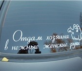 Фотография в Прочее,  разное Разное Мы делаем красивые, а иногда и необычные в Перми 0