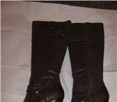 Фотография в Одежда и обувь Разное продам сапоги  новые(зима)натуральн аякожа в Железнодорожном 2 000