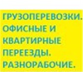 Изображение в Авторынок Транспорт, грузоперевозки Грузчики-грузоперевозки, Квартирные,офисные,дачные в Барнауле 150
