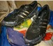 Изображение в Одежда и обувь Мужская обувь Породам кроссовки 42 размера, куплены в фирменном в Хабаровске 5 000